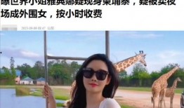 曼谷老白爆料视频最新,最新爆料视频深度解析